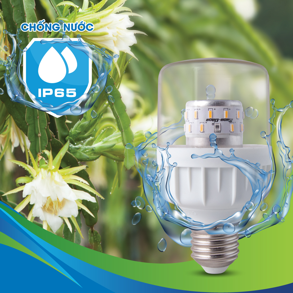 Qui trình kỹ thuật sử dụng đèn Led chuyên dụng điều khiển ra hoa cây Thanh long được công nhận tiến bộ kỹ thuật trong lĩnh vực trồng trọt